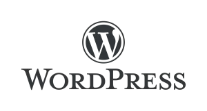 How-to-write-a-blog-on-WordPress-and-earn-money